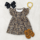 Wild & Whimsy Ruffle Sleeve Dress