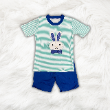 Blue Bunny Set