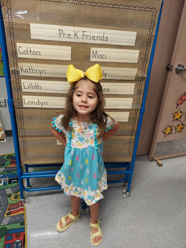 Pom Pom Pineapple Dress